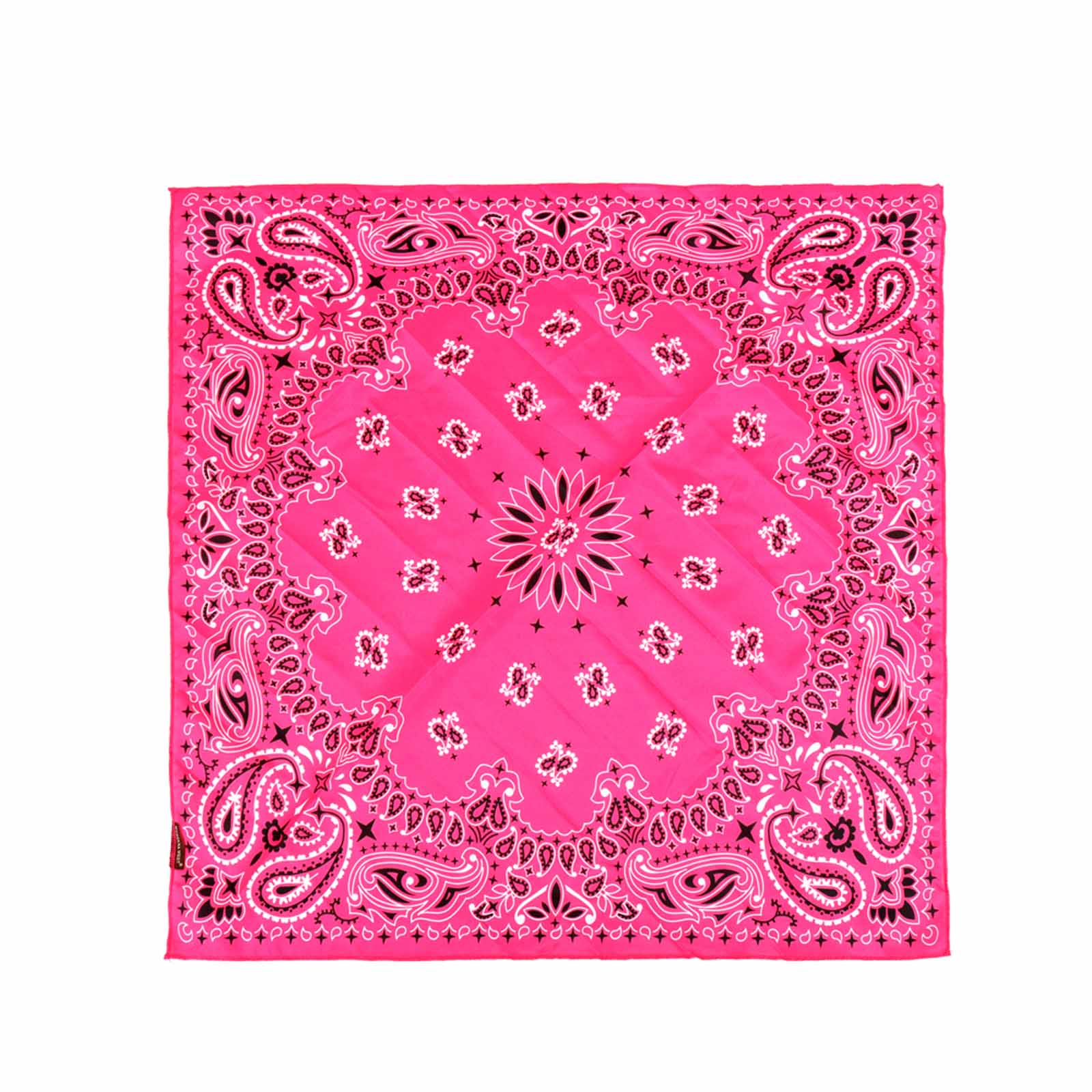 BDN05  American Bling Paisley Mandala Print Bandana- Assorted Colors (12 PCS)